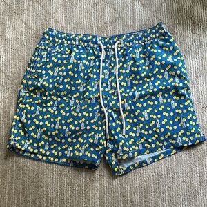 MC2 Saint Barth Printed Swim Shorts